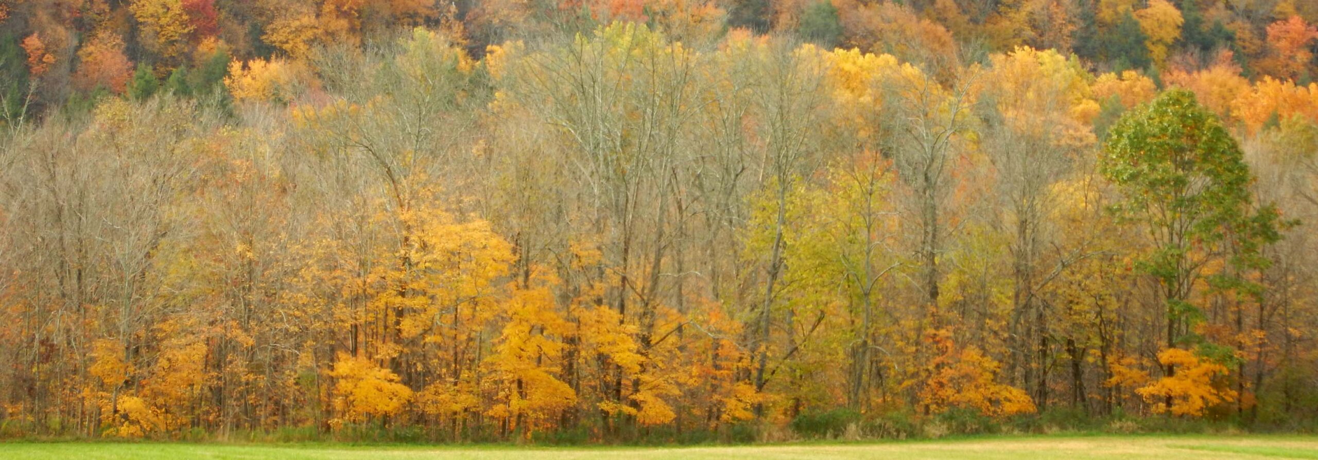 Union County, Pennsylvania Union County, Pennsylvania